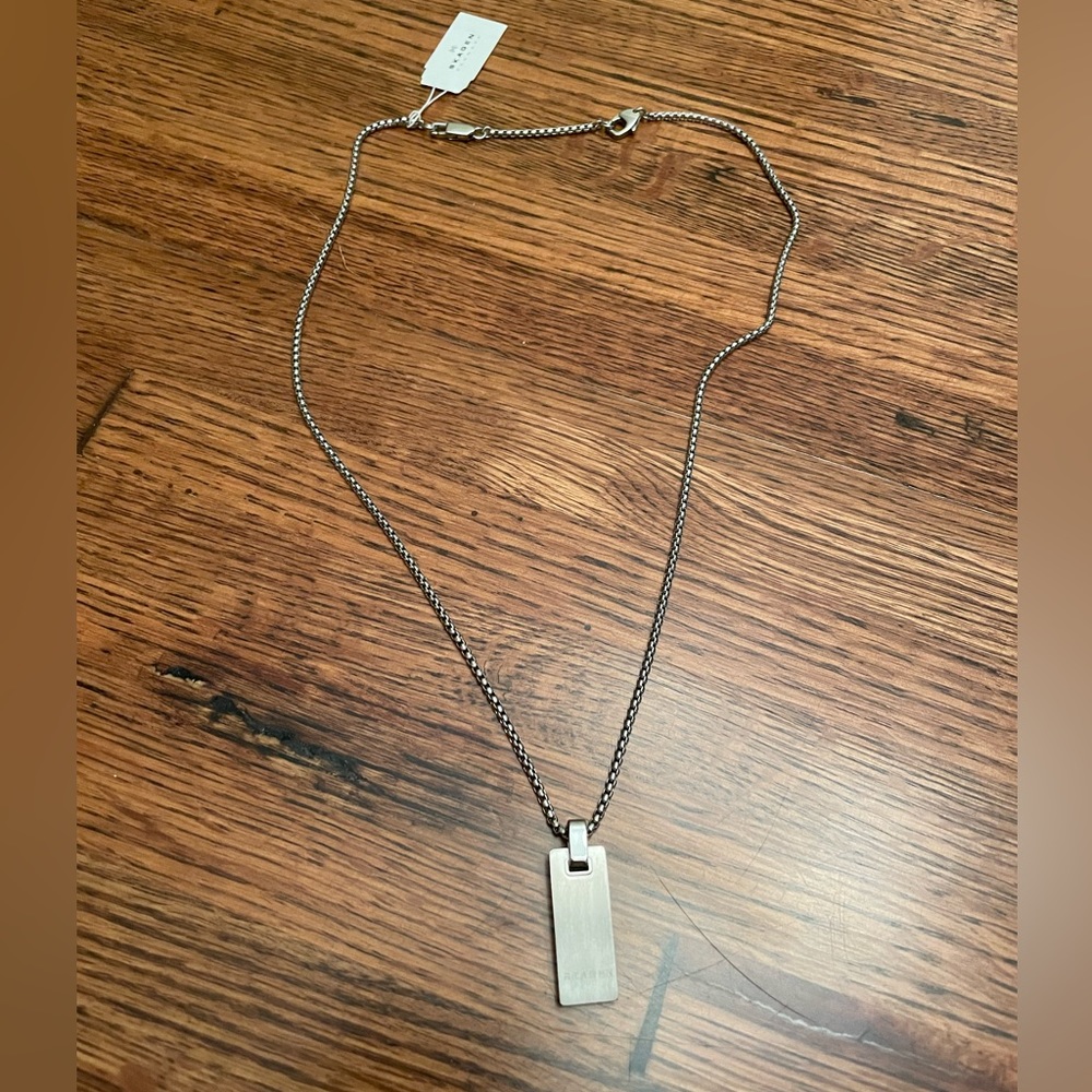 NWT Skagen Necklace in Silver